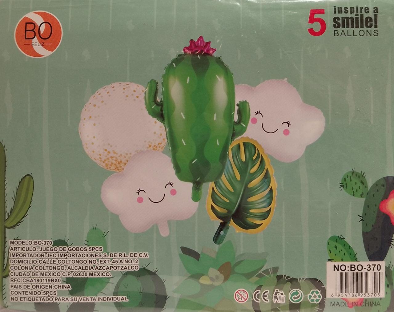 Set Cactus 5 Piezas